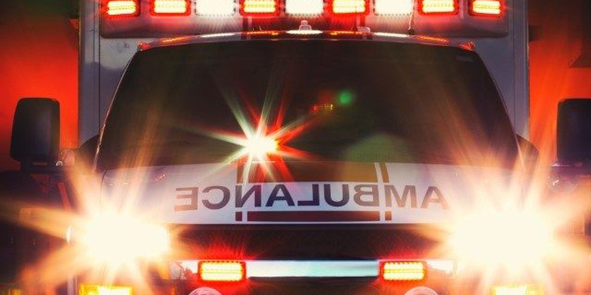 Man killed in head-on collision in Leland identified