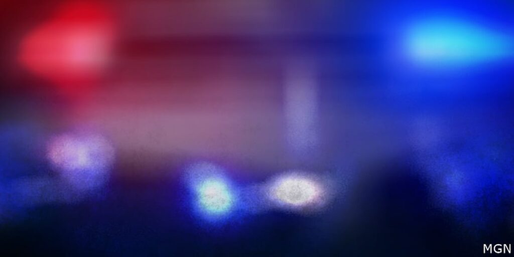 Driver killed and several injured in head-on collision near Calabash