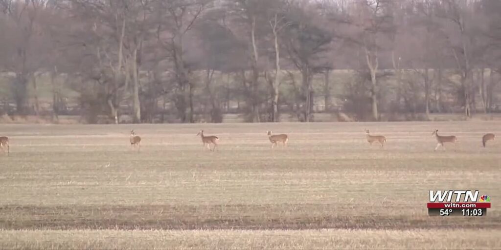 State Troopers and motorcyclists react to deer collision death involving Jacksonville motorcyclist