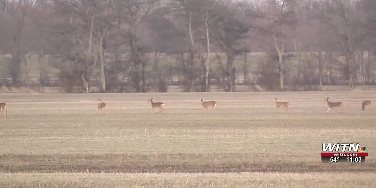 State Troopers and motorcyclists react to deer collision death involving Jacksonville motorcyclist