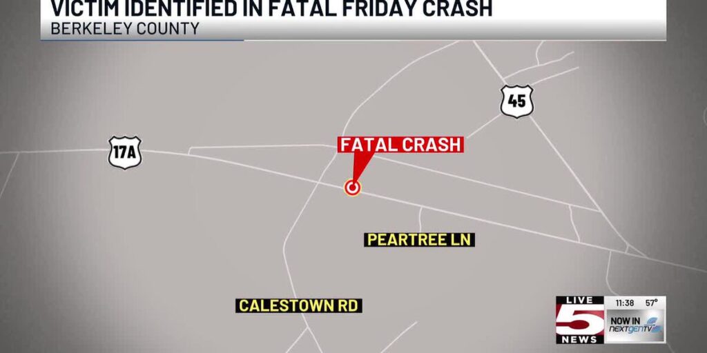 VIDEO: Coroner identifies driver killed in Berkeley County head-on collision