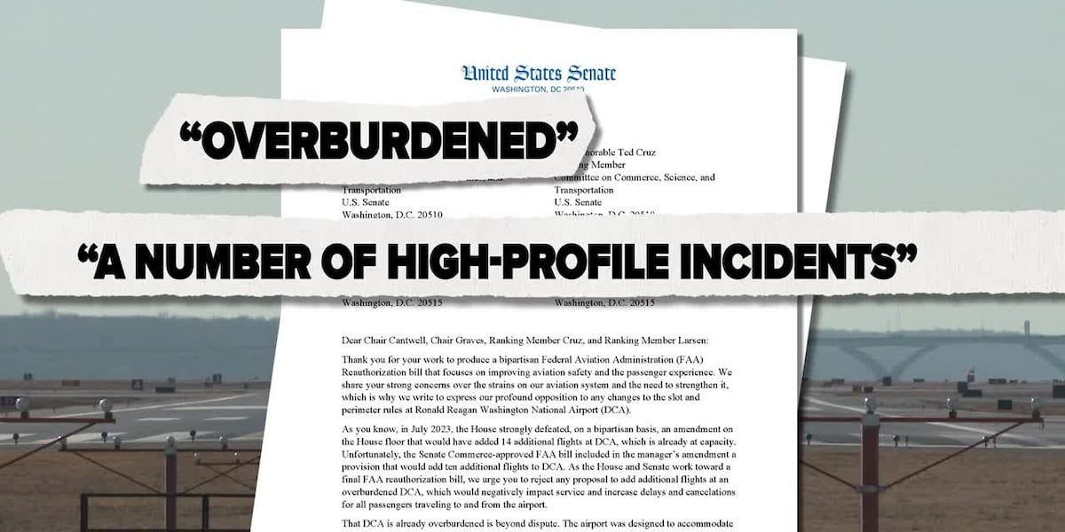 Deadly plane, helicopter collision renews concerns over airport ‘squeezed’ to its limits