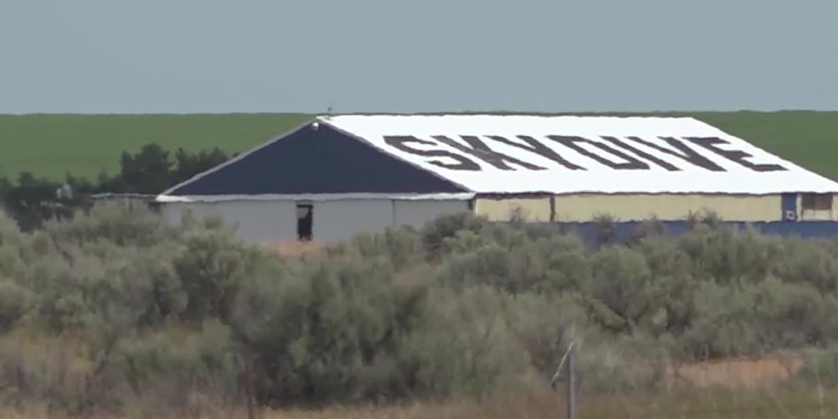 Skydiver killed, another injured in mid-air collision