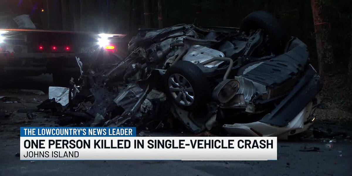 VIDEO: 1 dead in Johns Island single-vehicle collision, crews say